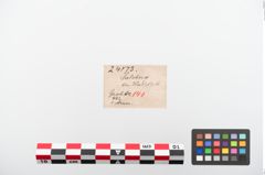 Etiketten zu Eisengriffangelmesser (NHMW-PRAE-024173)